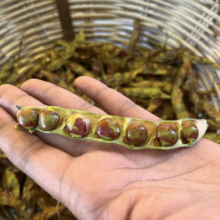 BLOG 459626096 1702008593946270 4236289042530113595 n