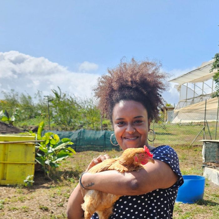 BLOG 459732363 1702008407279622 7808707444035316015 n