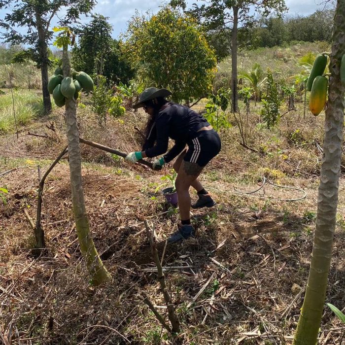 BLOG 460087277 1702008470612949 928925095646625751 n